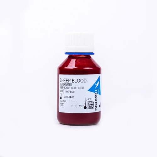 실험용 동물혈액